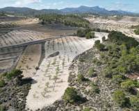 Wederverkoop - Grond - La Zarza