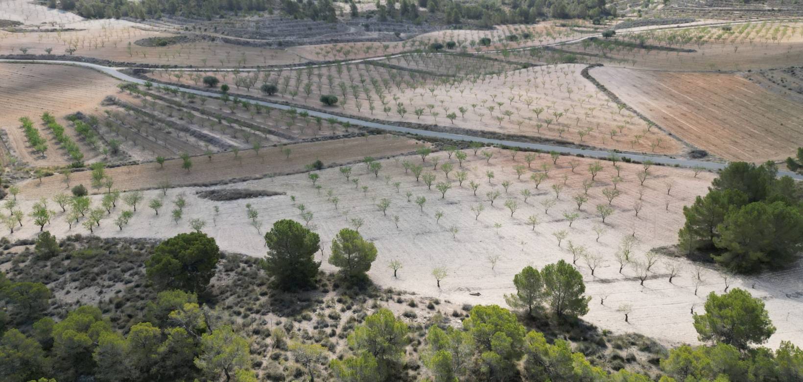 Wederverkoop - Grond - La Zarza