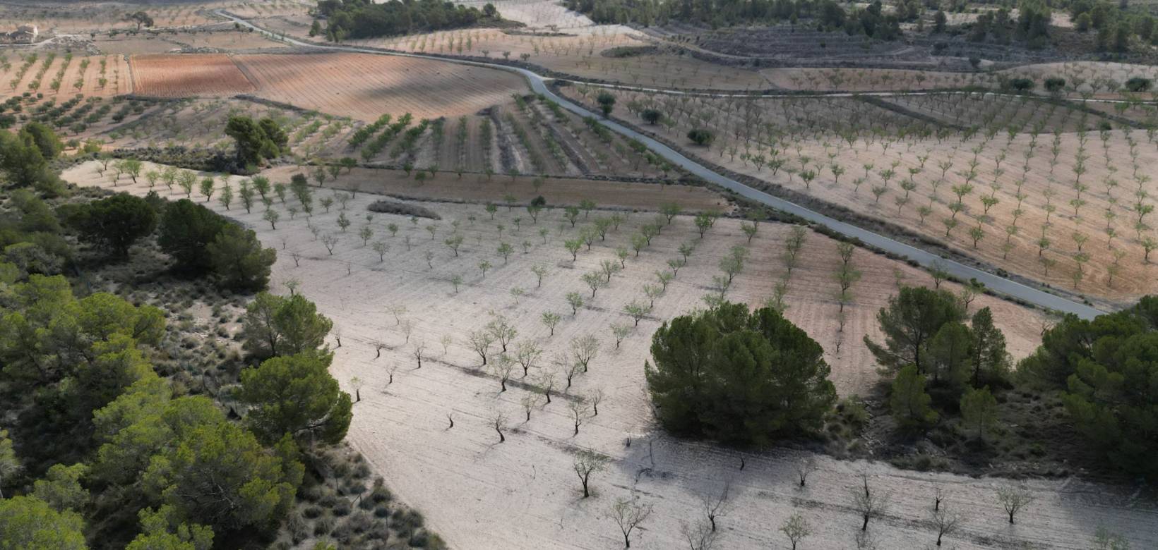 Wederverkoop - Grond - La Zarza