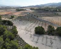 Wederverkoop - Grond - La Zarza