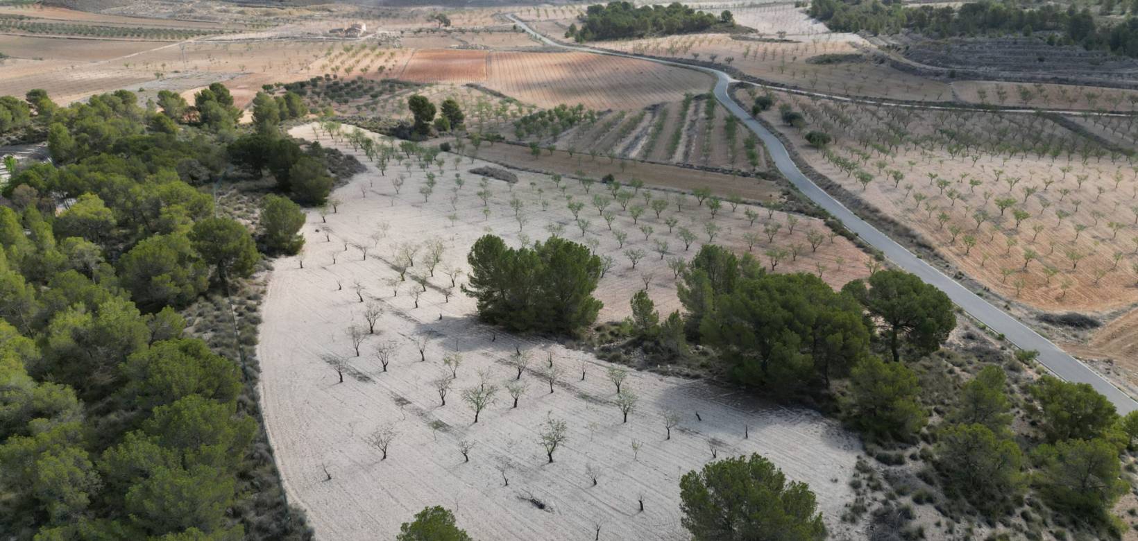 Wederverkoop - Grond - La Zarza