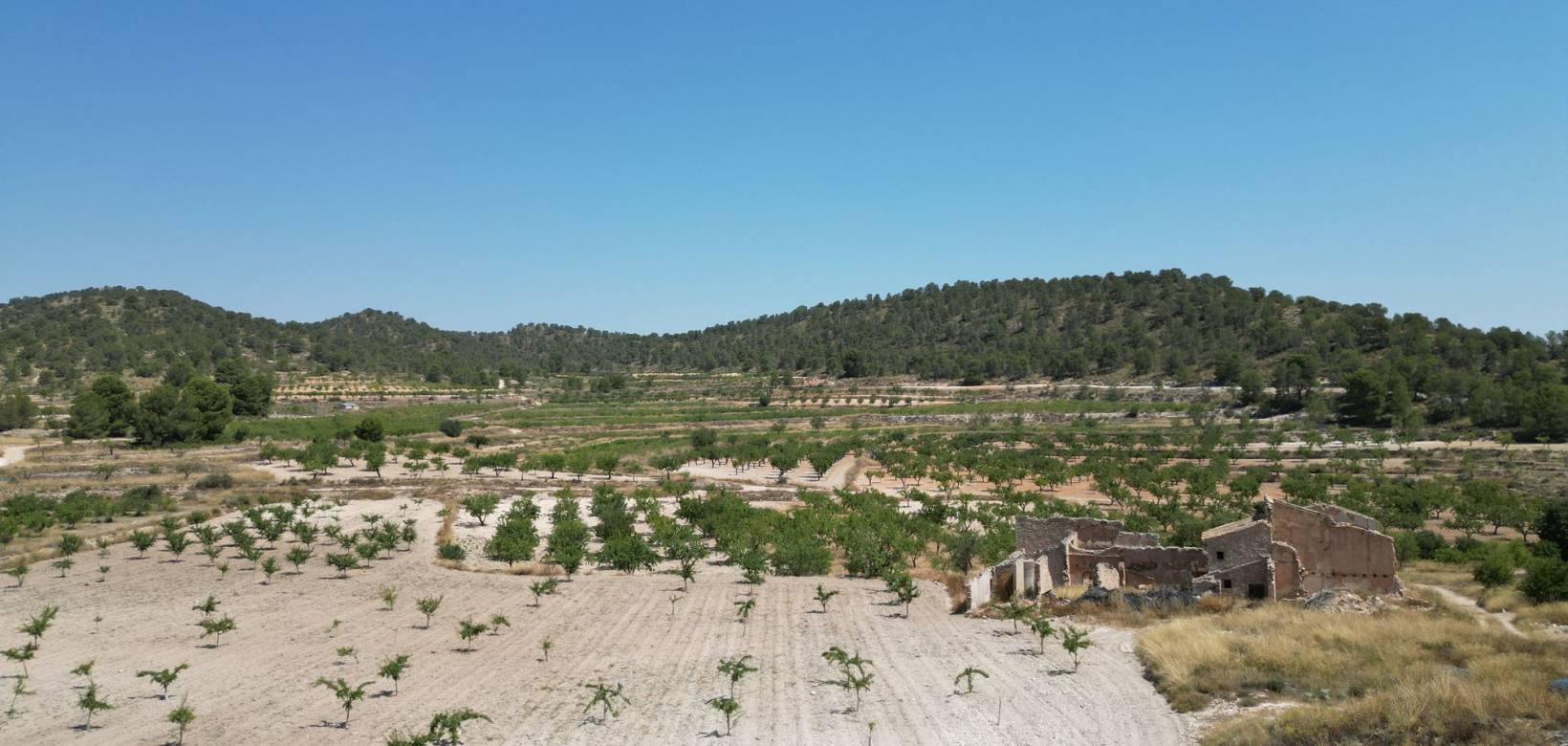 Wederverkoop - Grond - Monovar