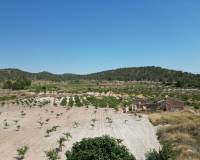 Wederverkoop - Grond - Monovar