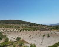 Wederverkoop - Grond - Monovar