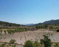 Wederverkoop - Grond - Monovar