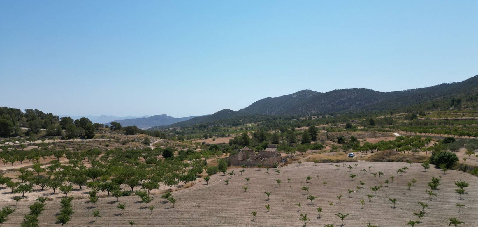 Wederverkoop - Grond - Monovar