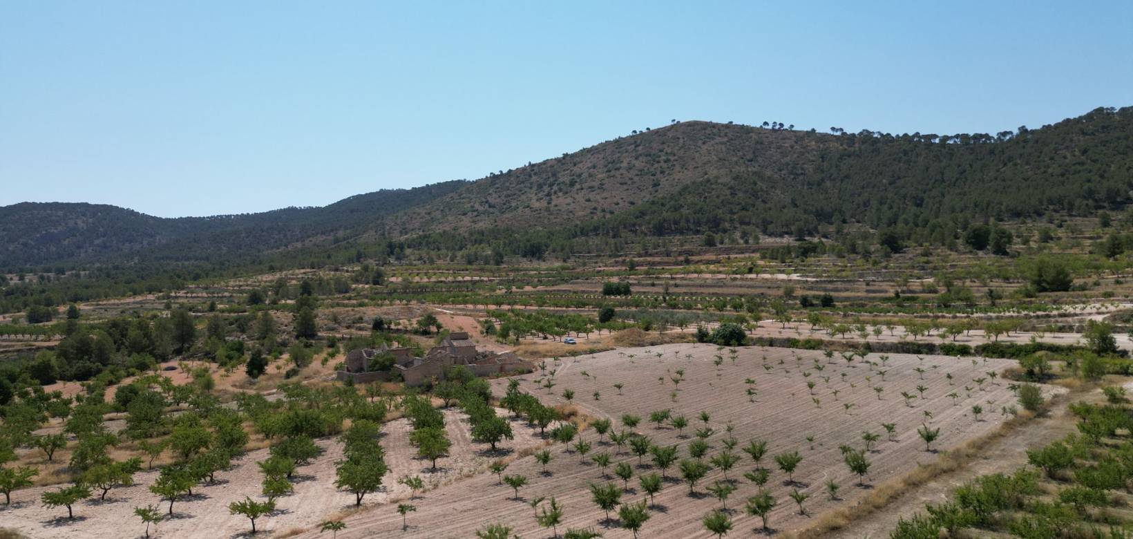 Wederverkoop - Grond - Monovar