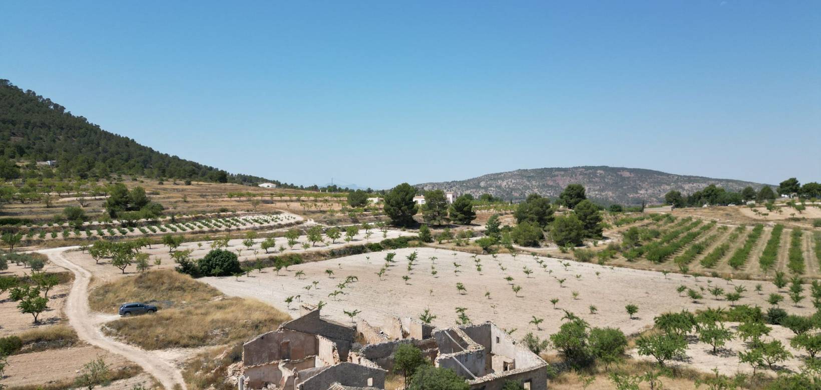 Wederverkoop - Grond - Monovar