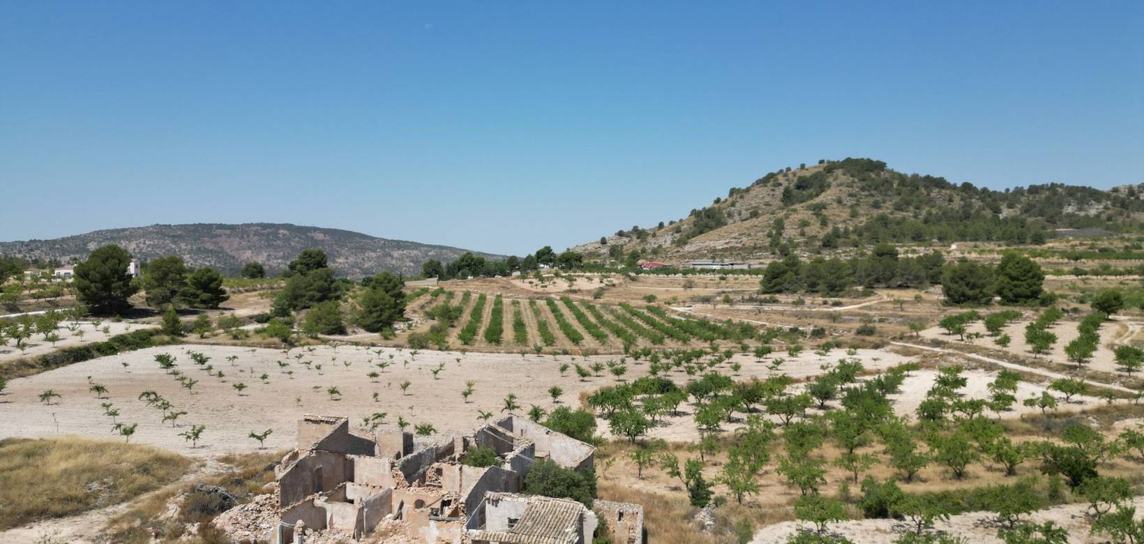 Wederverkoop - Grond - Monovar