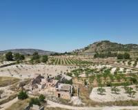 Wederverkoop - Grond - Monovar