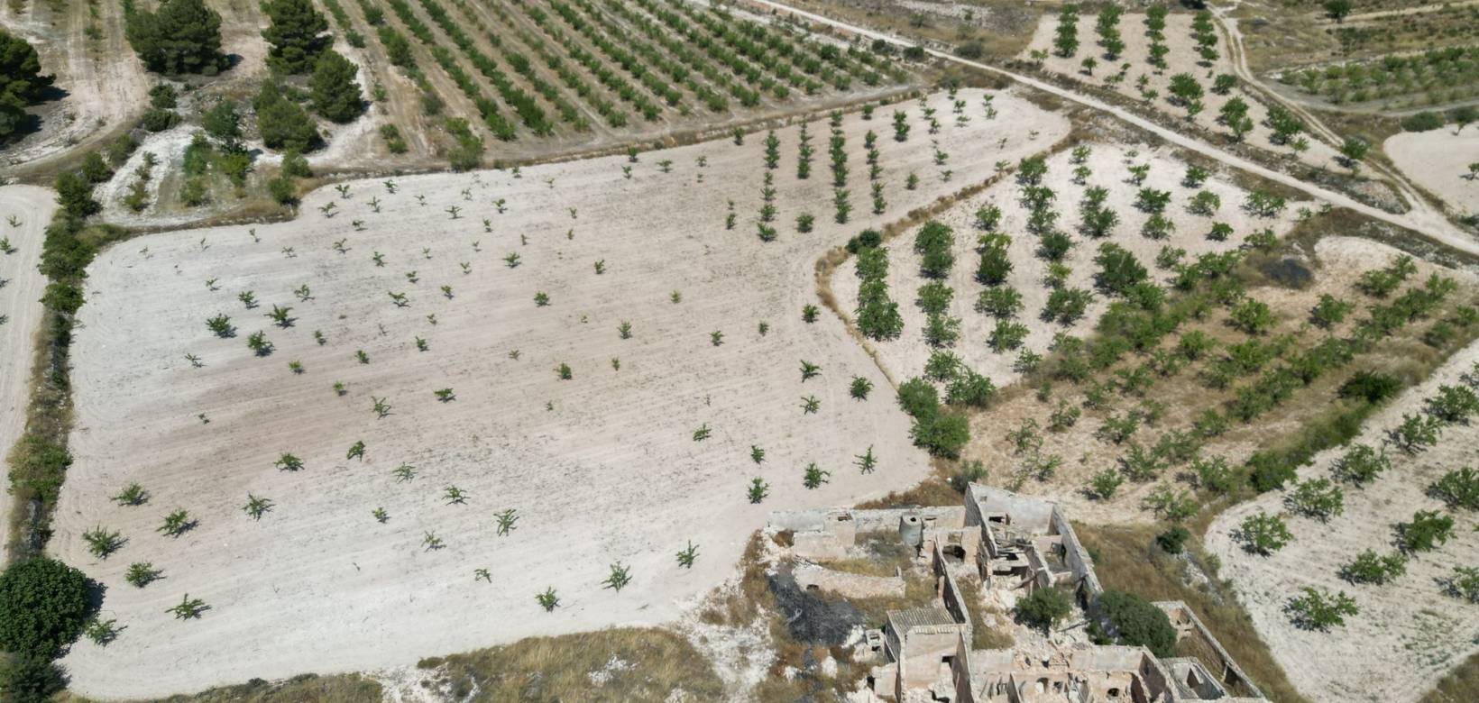 Wederverkoop - Grond - Monovar