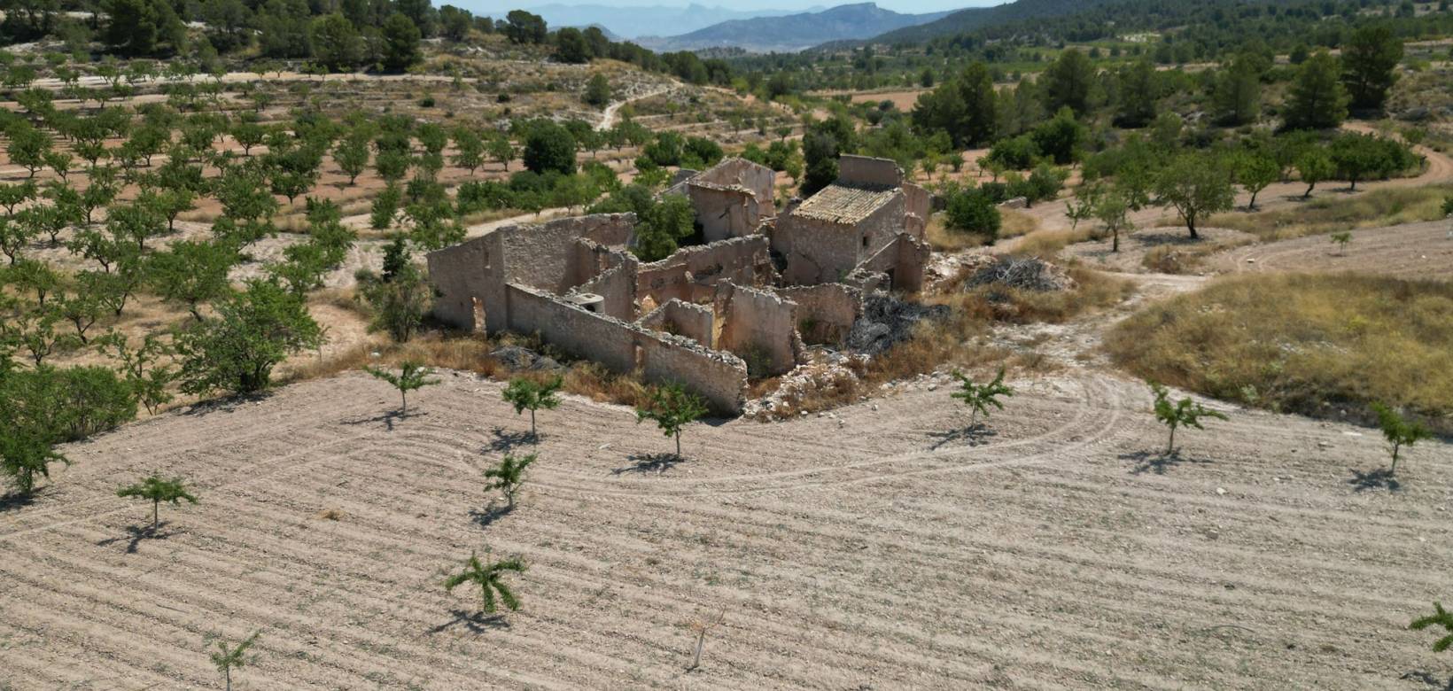 Wederverkoop - Grond - Monovar