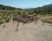 Wederverkoop - Grond - Monovar