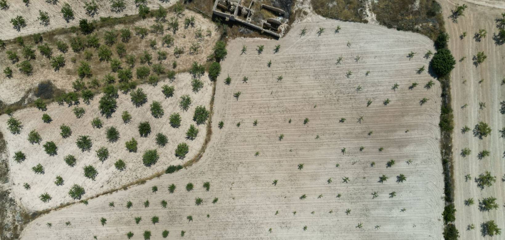 Wederverkoop - Grond - Monovar