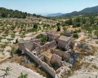 Wederverkoop - Grond - Monovar