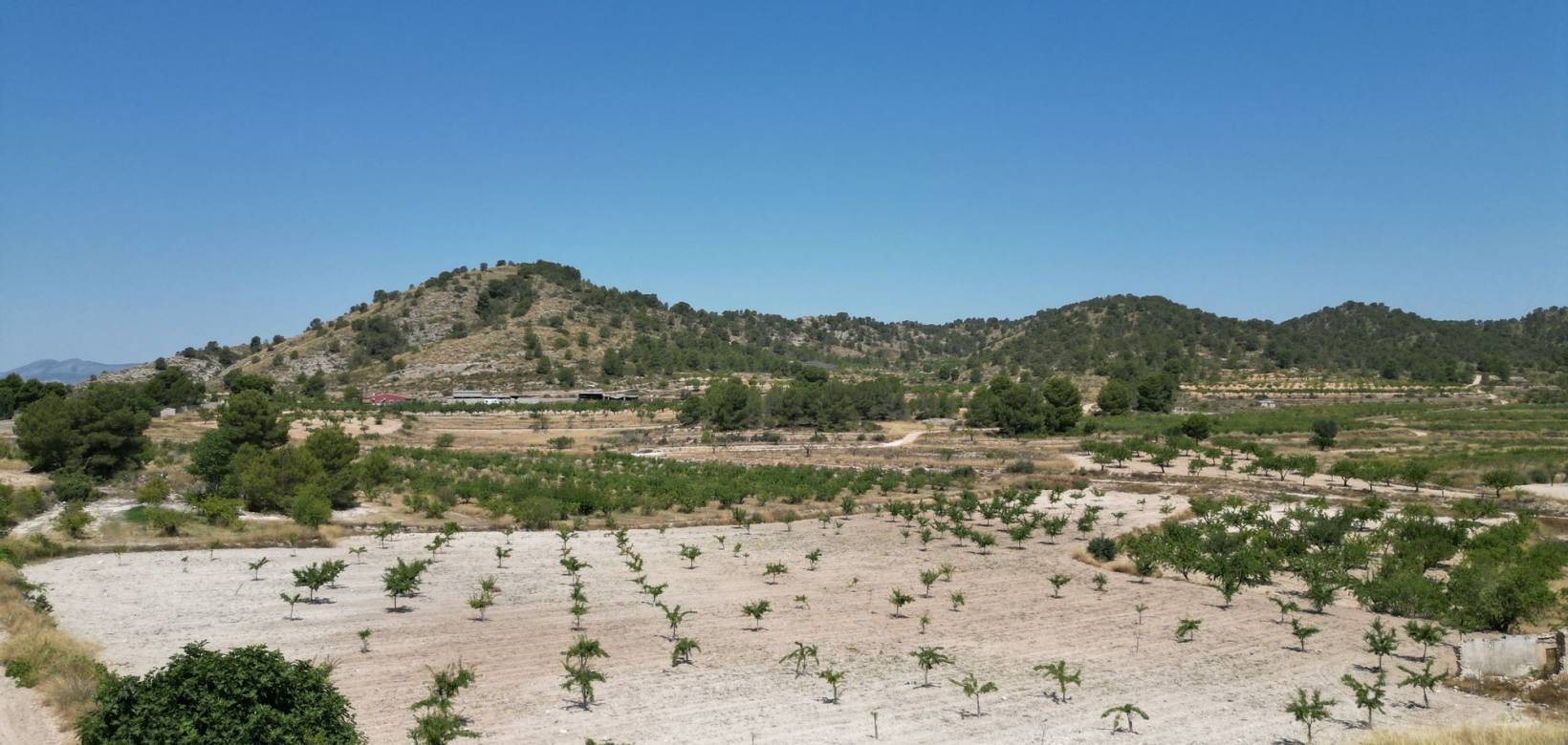 Wederverkoop - Grond - Monovar