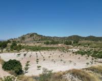 Wederverkoop - Grond - Monovar