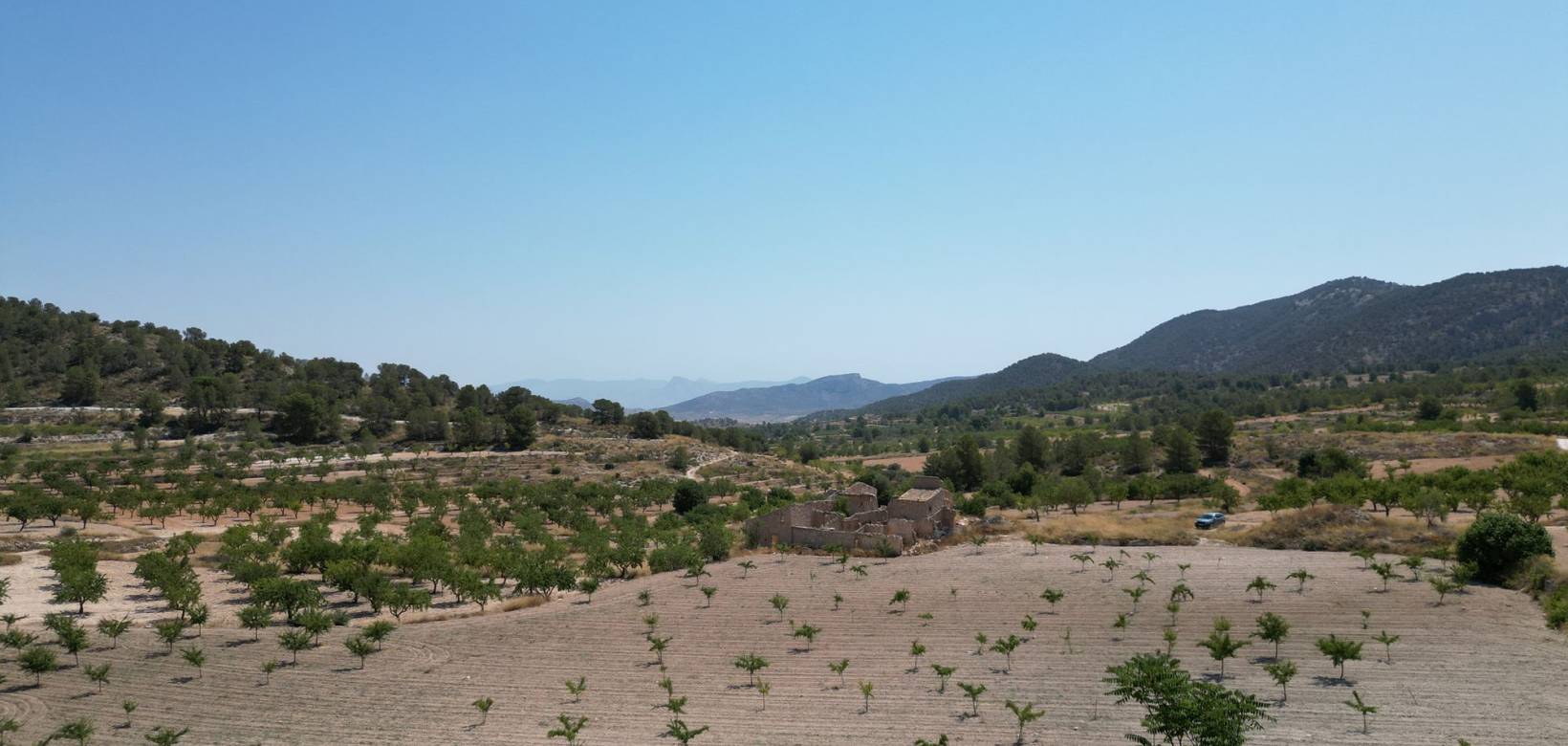 Wederverkoop - Grond - Monovar