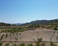 Wederverkoop - Grond - Monovar