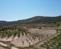 Wederverkoop - Grond - Monovar