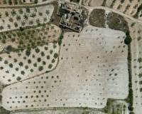 Wederverkoop - Grond - Monovar