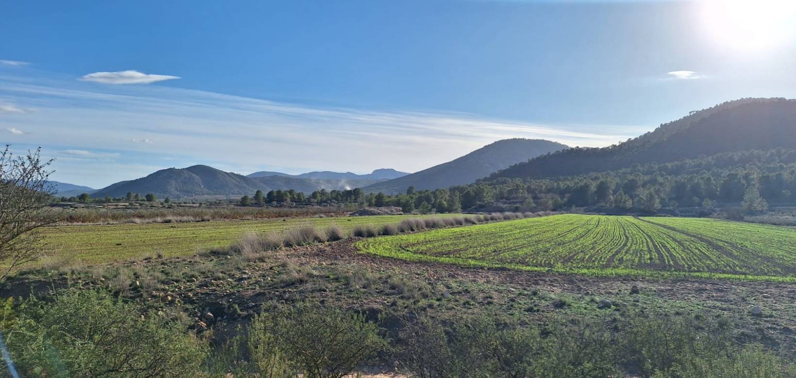 Wederverkoop - Grond - Monovar