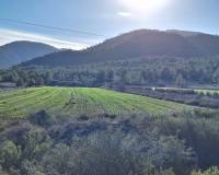 Wederverkoop - Grond - Monovar