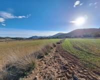 Wederverkoop - Grond - Monovar