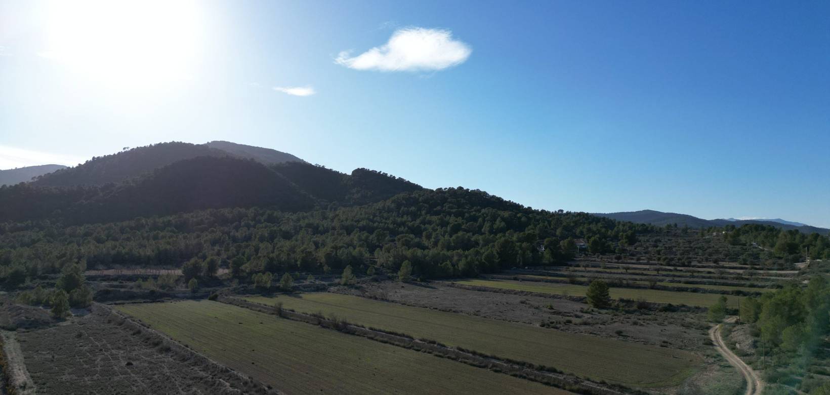 Wederverkoop - Grond - Monovar