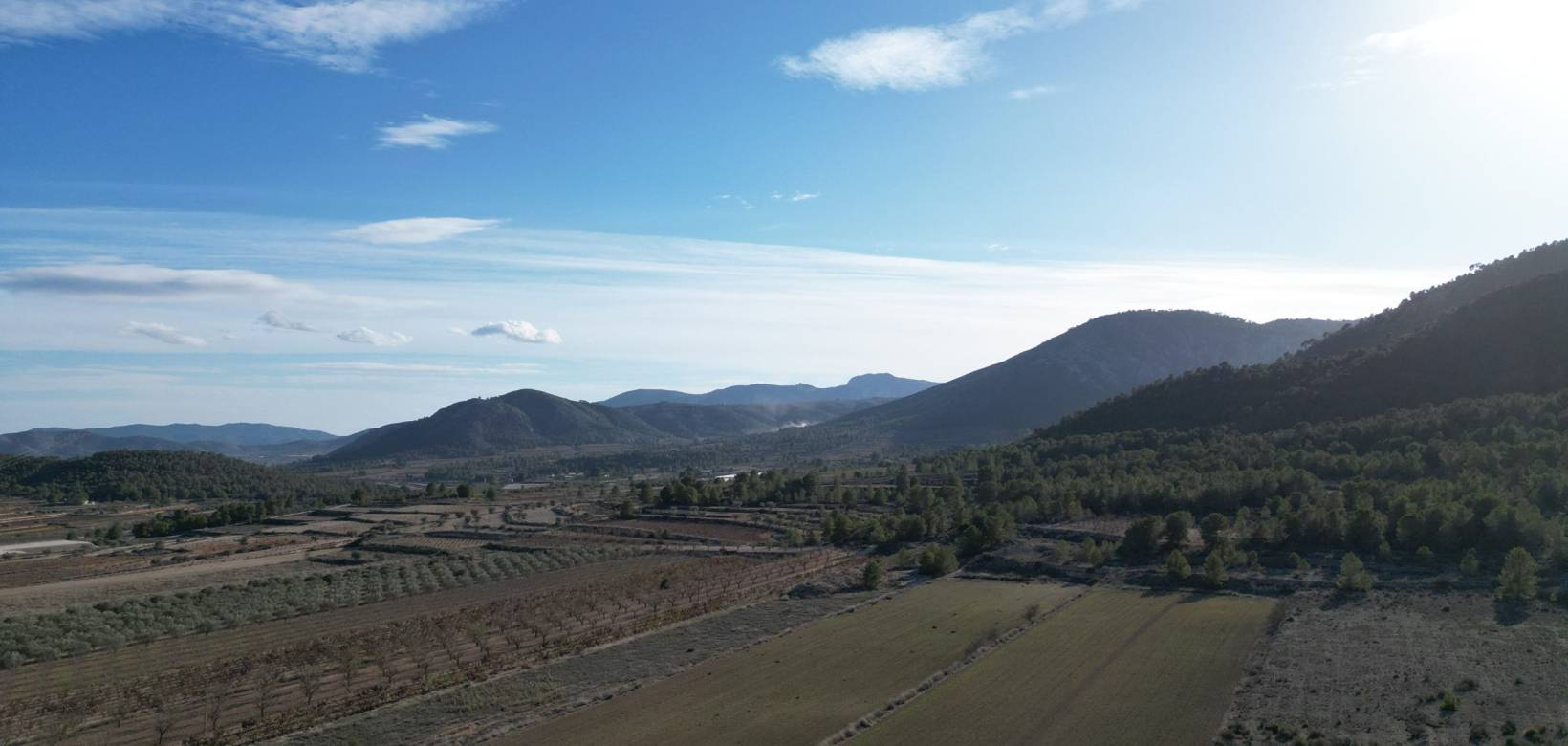 Wederverkoop - Grond - Monovar