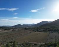 Wederverkoop - Grond - Monovar