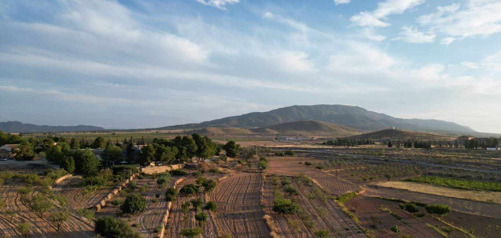 Wederverkoop - Grond - Pinoso