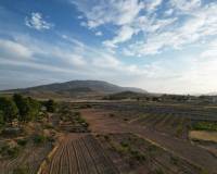 Wederverkoop - Grond - Pinoso