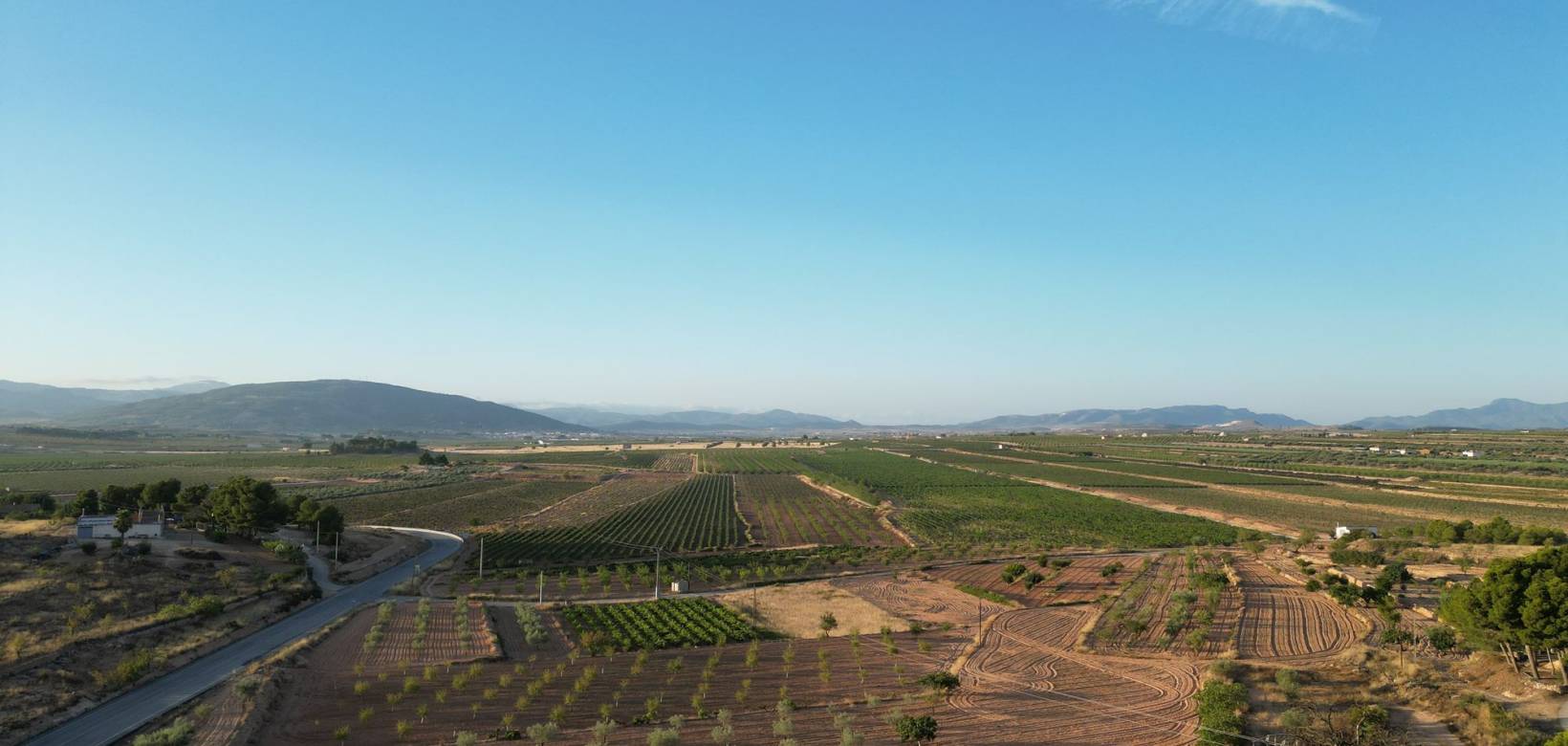 Wederverkoop - Grond - Pinoso