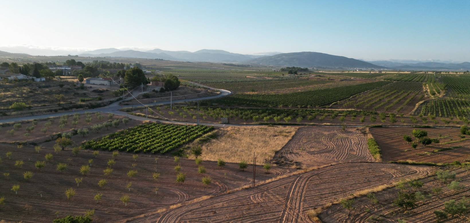 Wederverkoop - Grond - Pinoso