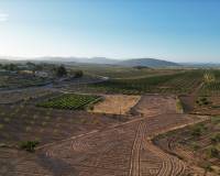 Wederverkoop - Grond - Pinoso