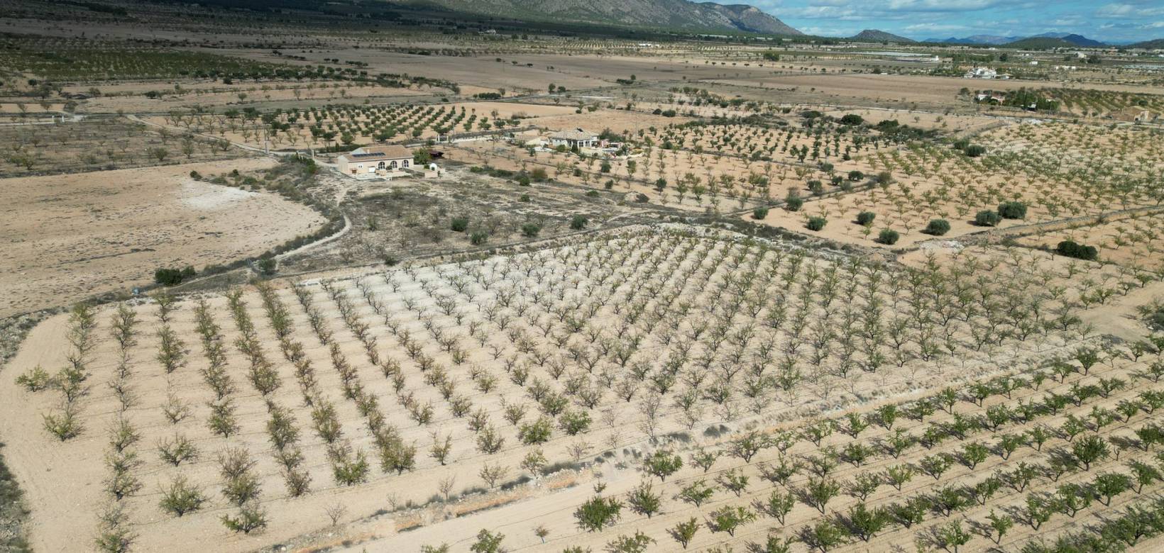 Wederverkoop - Grond - Pinoso