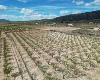 Wederverkoop - Grond - Pinoso