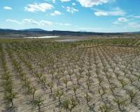 Wederverkoop - Grond - Pinoso