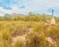 Wederverkoop - Grot huis - Barinas - 