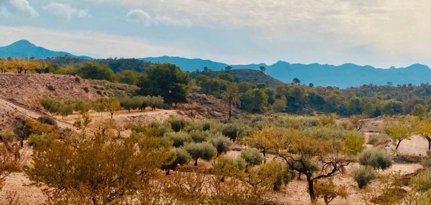 Wederverkoop - Grot huis - Barinas - 