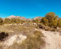 Wederverkoop - Grot huis - Barinas - 