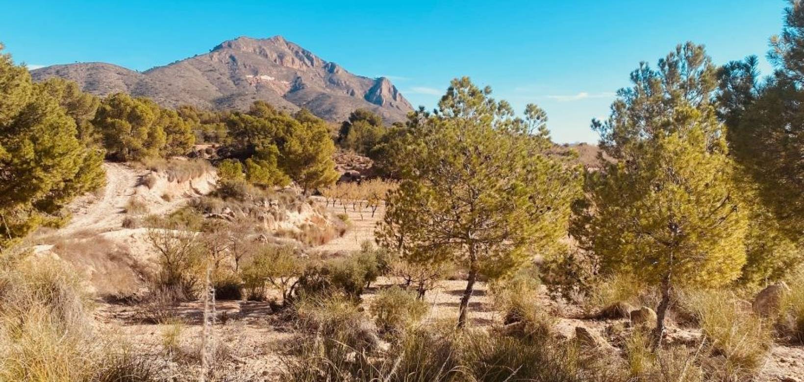 Wederverkoop - Grot huis - Barinas - 