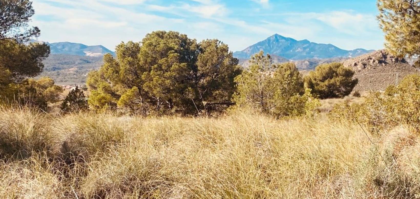 Wederverkoop - Grot huis - Barinas - 