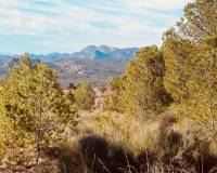 Wederverkoop - Grot huis - Barinas - 