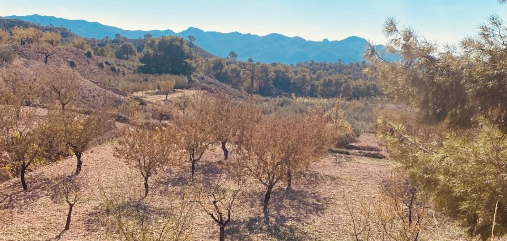 Wederverkoop - Grot huis - Barinas - 