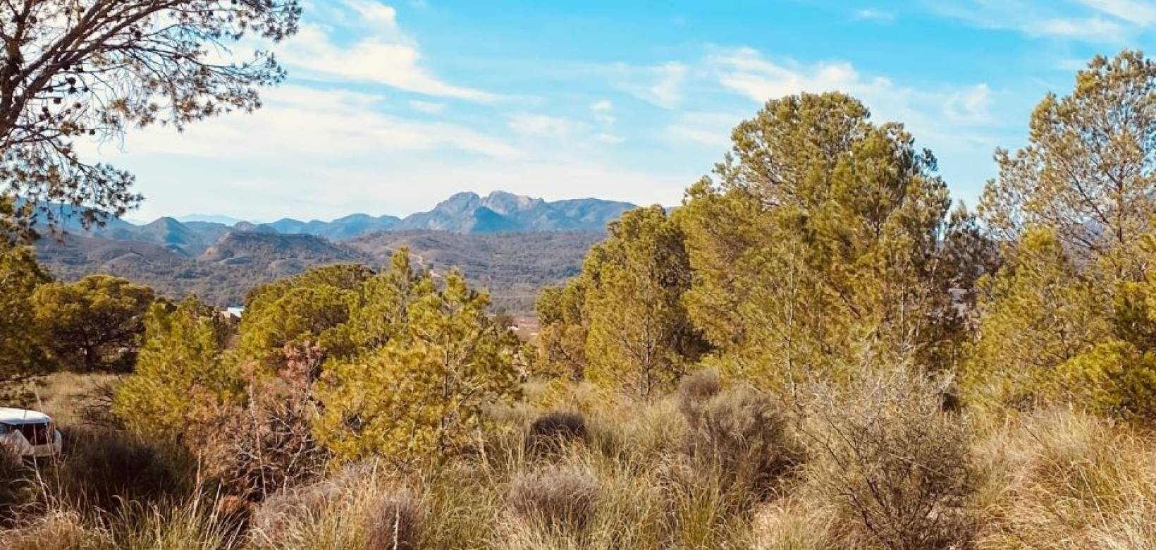 Wederverkoop - Grot huis - Barinas - 