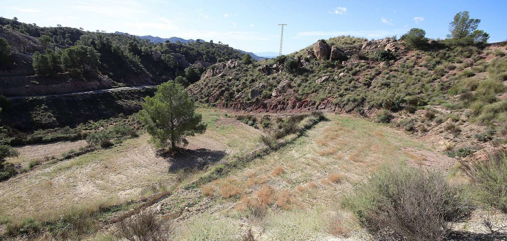 Wederverkoop - Land - Abanilla - 