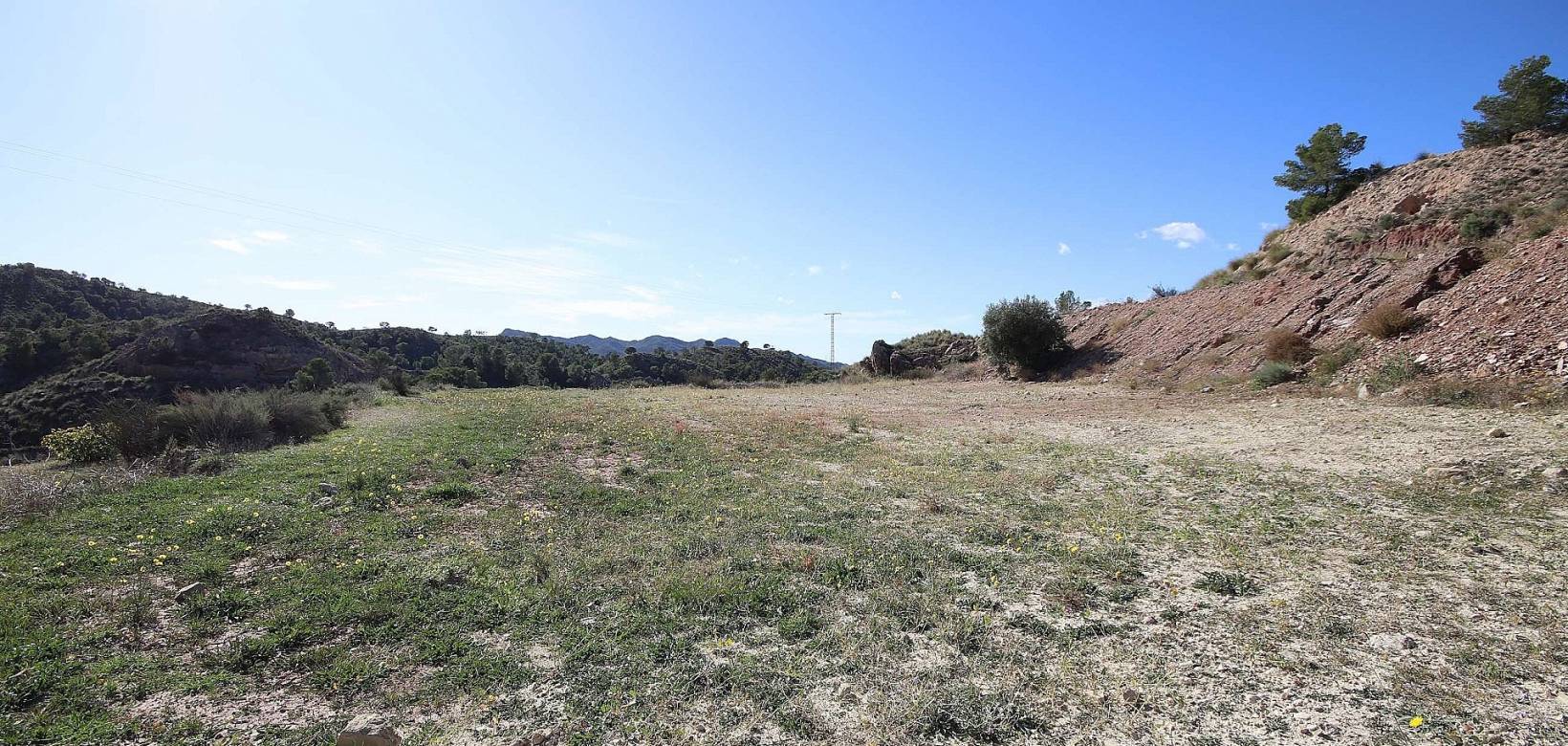 Wederverkoop - Land - Abanilla - 