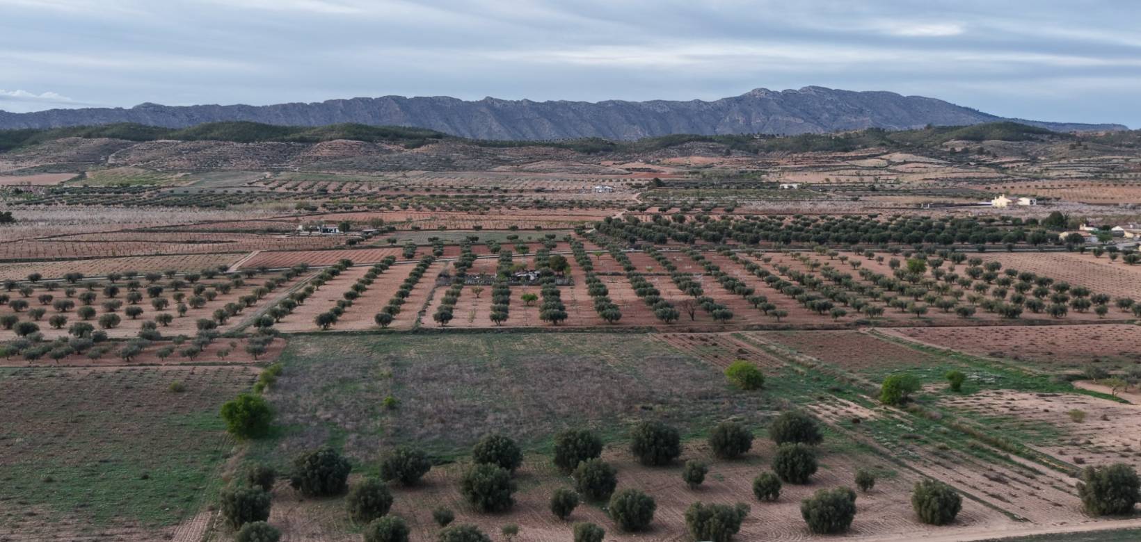 Wederverkoop - Land - Jumilla